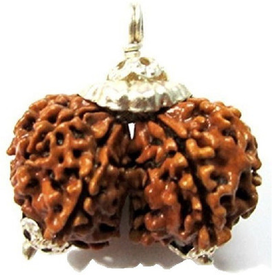Jewelswonder Natural Gori Shankar /Gouri Shankra Mukhi Rudraksha Wood