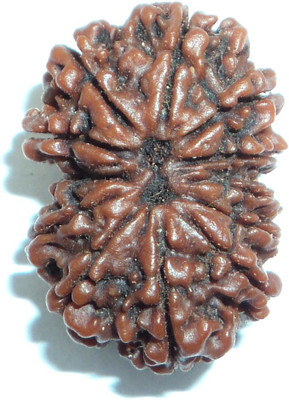 Jewelswonder Natural Twelve Face /12 Mukhi Rudraksha Wood