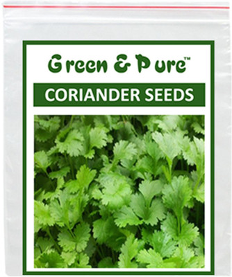 CRGO CORIANDER , HARA DHANIYA Seed(150 per packet)