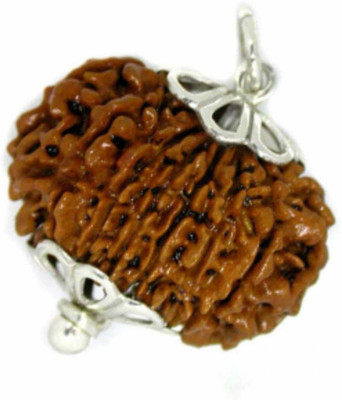 Jewelswonder 14 Mukhi Rudraksha With JGL Lab Certifie Wood