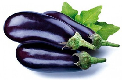 dpays Bengan Seed(50 per packet)