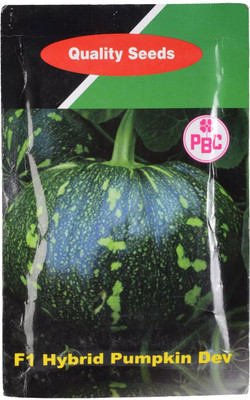 VibeX Pumpkin Seed(30 per packet)