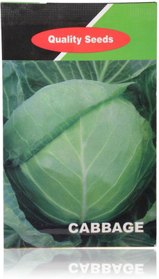 Qualtivate Cabbage Seed(250 per packet)