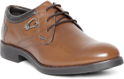lee cooper lc2024b