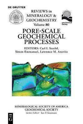Pore Scale Geochemical Processes(English, Paperback, unknown)