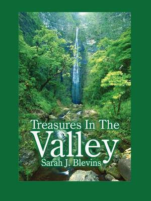 Treasures In The Valley(English, Paperback, Blevins Sarah J.)