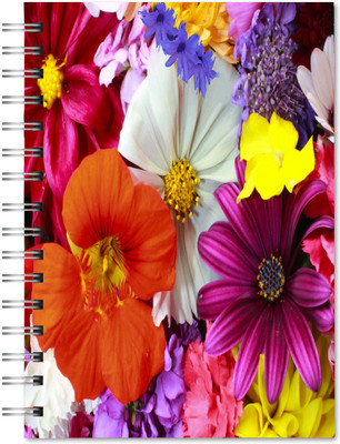 Family store Spriral pad Regular Notebook Single Ruler 500 Pages(Multicolor)