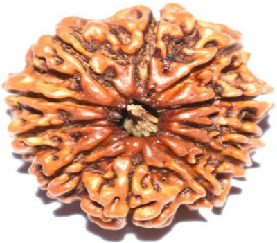 om rudraksha 11 Mukhi Rudraksha Nepal Beads Wood Pendant