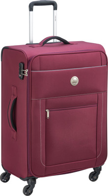 Delsey Gabes Check-in Luggage - 31 inch(Purple)