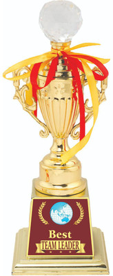 AARK INDIA Best Team Leader Performance 1St Place Corporate :Award (PC00868) Trophy(10.5 Inch)