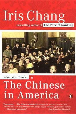 The Chinese in America(English, Electronic book text, Chang Iris)