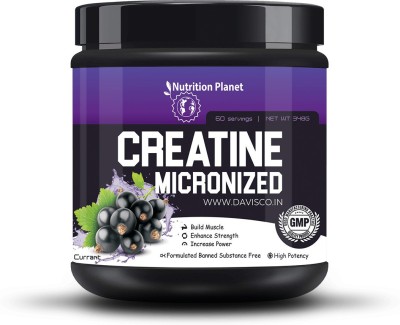 Nutrition Planet Micronized Creatine Monohydrate Black Currant Creatine(348 g, Black Currant)