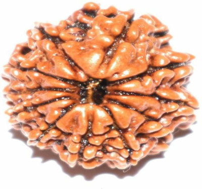 om rudraksha 11 mukhi rudraksha Wood
