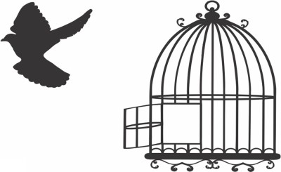 voorkoms birds get freedom from prison(birds get freedom from prison)