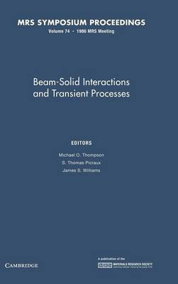 Beam-Solid Interactions and Transient Processes: Volume 74(English, Hardcover, unknown)