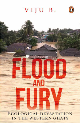 Flood and Fury(English, Paperback, B. Viju)