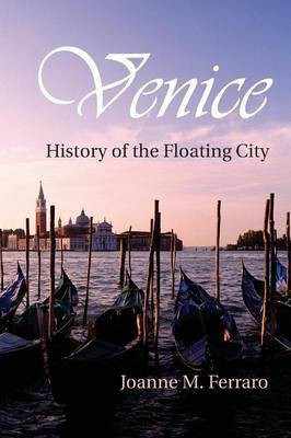 Venice(English, Paperback, Ferraro Joanne M.)