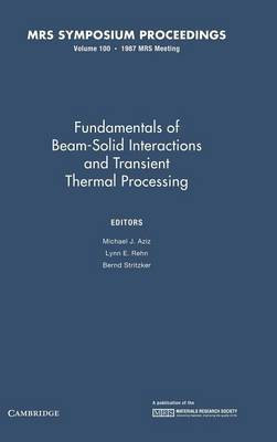 Fundamentals of Beam-Solid Interactions and Transient Thermal Processing: Volume 100(English, Hardcover, unknown)
