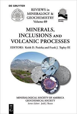 Minerals, Inclusions And Volcanic Processes(English, Paperback, unknown)