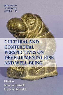 Cultural and Contextual Perspectives on Developmental Risk and Well-Being(English, Paperback, unknown)
