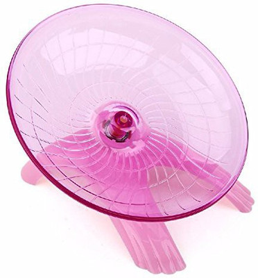 Sage Square Plastic Tough Toy For Mouse