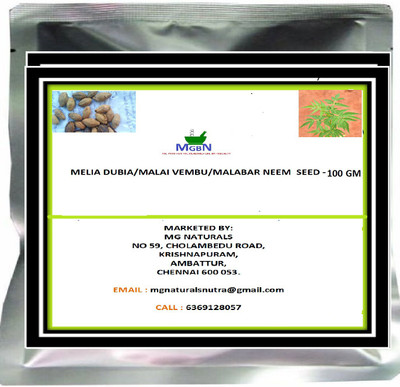 MGBN MELIA DUBIA/MALAI VEMBU/MALABAR NEEM SEED Seed(35 per packet)
