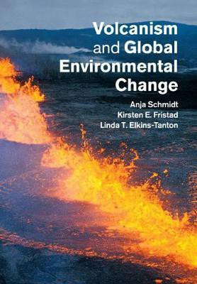 Volcanism and Global Environmental Change(English, Paperback, unknown)