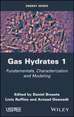 Gas Hydrates 1(English, Electronic book text, unknown)