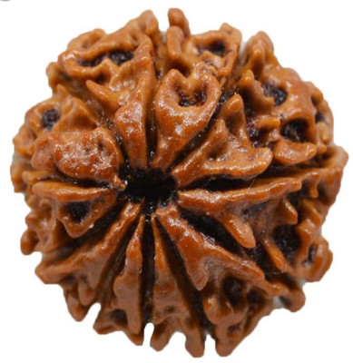 om rudraksha 10 mukhi rudraksha Wood