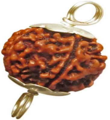 om rudraksha 10 mukhi rudraksha Wood