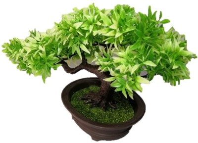 Breewell Bonsai Wild Artificial Plant  with Pot(12 cm, Green)