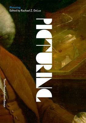 Picturing(English, Paperback, Hunter Matthew)