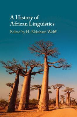 A History of African Linguistics(English, Hardcover, unknown)