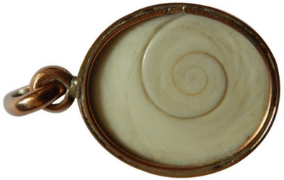 Raviour Lifestyle Shell