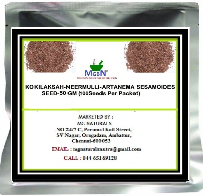 MGBN KOKILAKSAH-NEERMULLI-ARTANEMA SESAMOIDES-SEED-50 GM Seed(100 per packet)