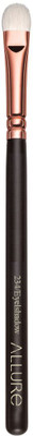 ALLURE Luxe Smoky Shader for eye shadow(Pack of 1)