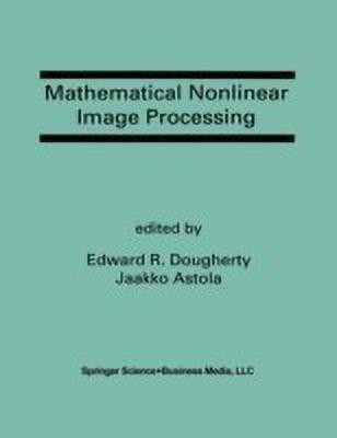 Mathematical Nonlinear Image Processing(English, Paperback, unknown)
