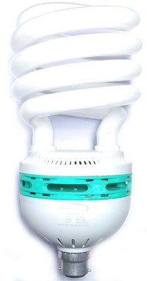 skybright 65 W Basic Spiral B22 CFL Bulb(White)