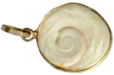 Raviour Lifestyle Shell