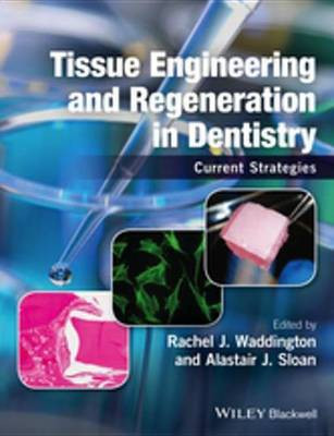 Tissue Engineering and Regeneration in Dentistry(English, Electronic book text, unknown)