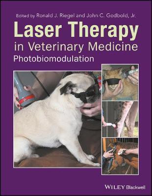 Laser Therapy in Veterinary Medicine(English, Hardcover, unknown)