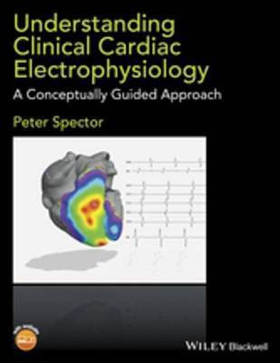 Understanding Clinical Cardiac Electrophysiology(English, Electronic book text, Spector Peter)