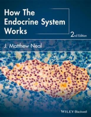 How the Endocrine System Works(English, Electronic book text, Neal J. Matthew)