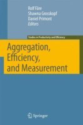 Aggregation, Efficiency, and Measurement(English, Hardcover, unknown)