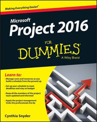Project 2016 For Dummies(English, Electronic book text, Snyder Dionisio Cynthia)