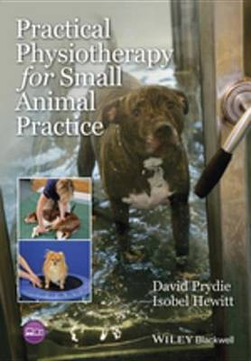 Practical Physiotherapy for Small Animal Practice(English, Electronic book text, Prydie David)