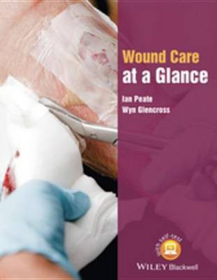 Wound Care at a Glance(English, Electronic book text, Peate Ian)