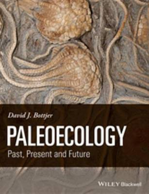 Paleoecology(English, Electronic book text, Bottjer David J.)