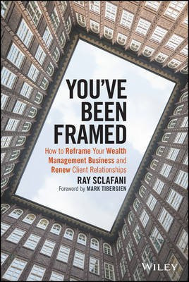 You've Been Framed(English, Electronic book text, Sclafani Ray)