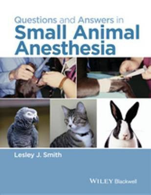 Questions and Answers in Small Animal Anesthesia(English, Electronic book text, unknown)